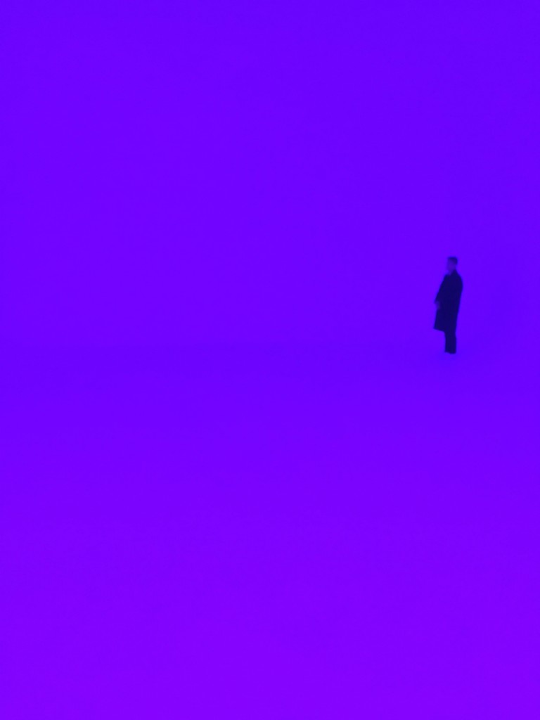 詹姆斯·特瑞尔《全域装置（香格里拉【穿越山巅】）》在龙美术馆展览现场，2017年。摄影：令狐小