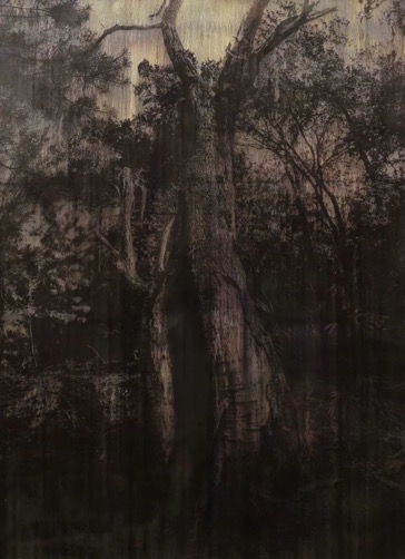 迈克尔·朱，《卷杀（韧皮部）》（2016） 硝酸银和油墨画，335.3 × 243.8 cm