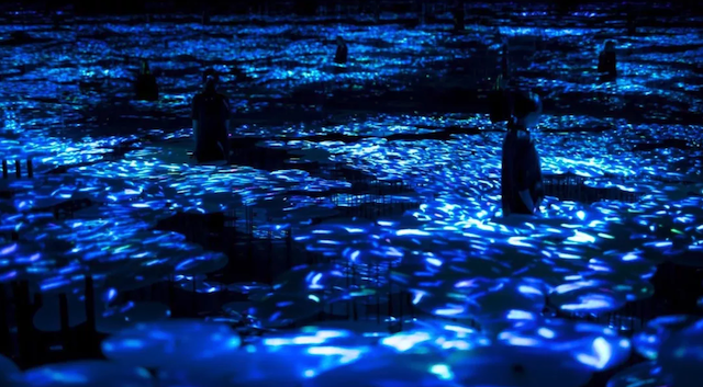 《The Way of the Sea through the Memory of Topography - Colors of Life》。此图片拍摄于东京MORI Building DIGITAL ART MUSEUM: teamLab Borderless现场。图片：© teamLab is represented by Pace Gallery