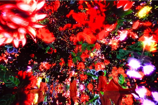 《漂浮于落花世界》（Floating in the Falling Universe of Flowers）。图片拍摄于展览teamLab Planets TOKYO现场。图片：© teamLab is represented by Pace Gallery